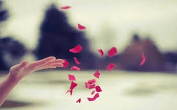 Học cách bỏ bớt ...